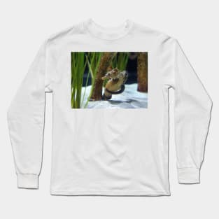 Seahorse Hug Long Sleeve T-Shirt